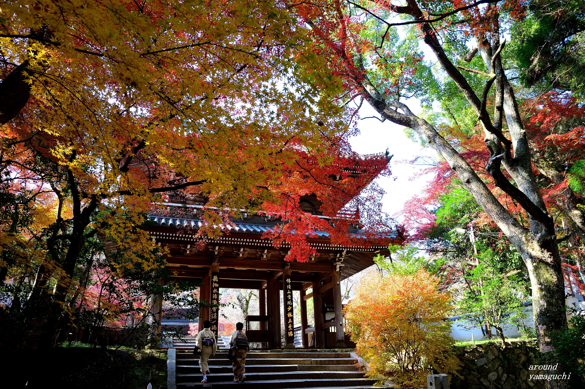 別格の美しさ 功山寺の紅葉 Around Yamaguchi 2